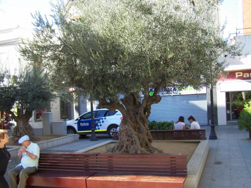 calella1_121.jpg