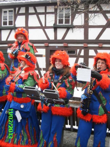 fasching2013_110.jpg