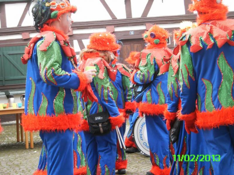 fasching2013_124.jpg