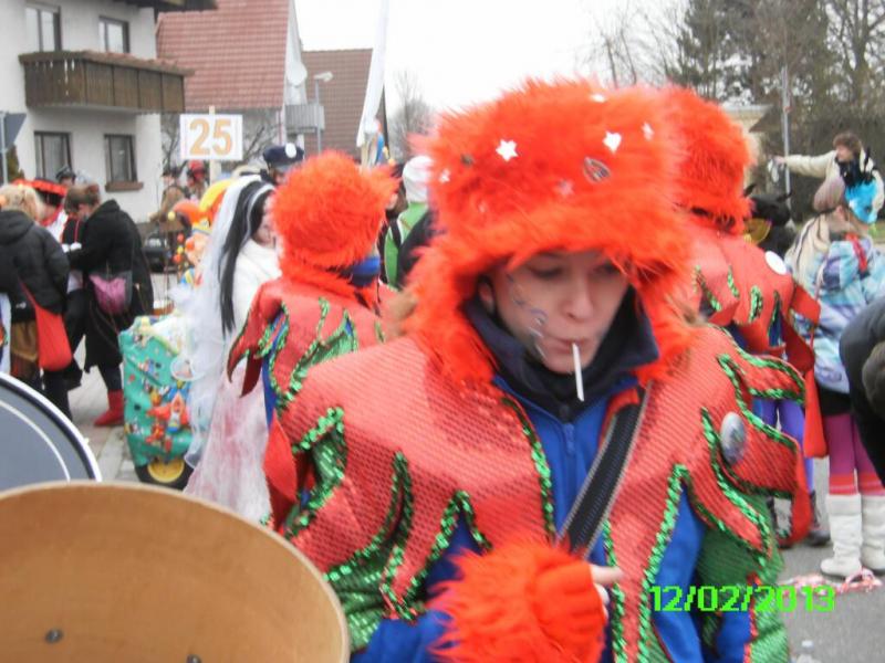 fasching2013_305.jpg