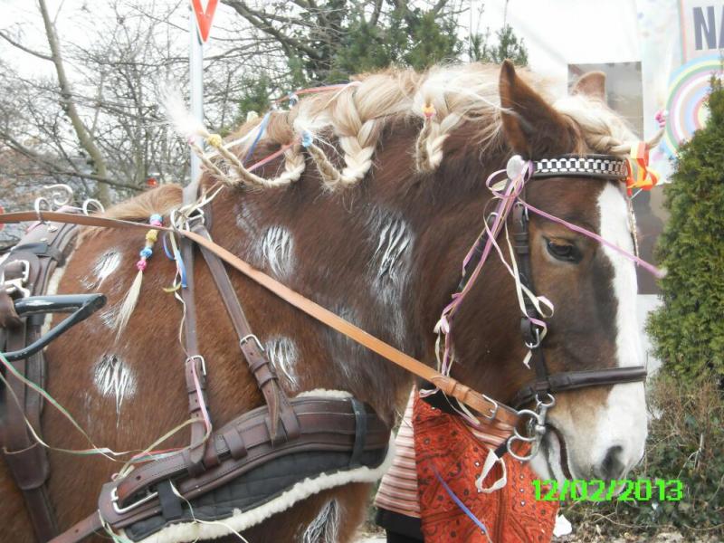 fasching2013_312.jpg